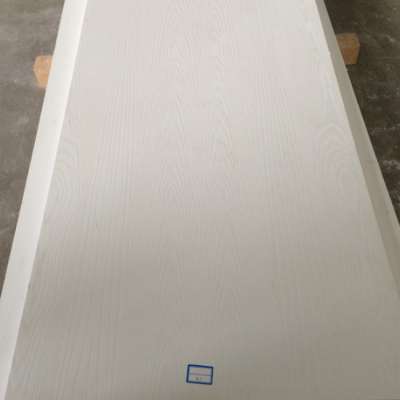 Fiber glass door skin